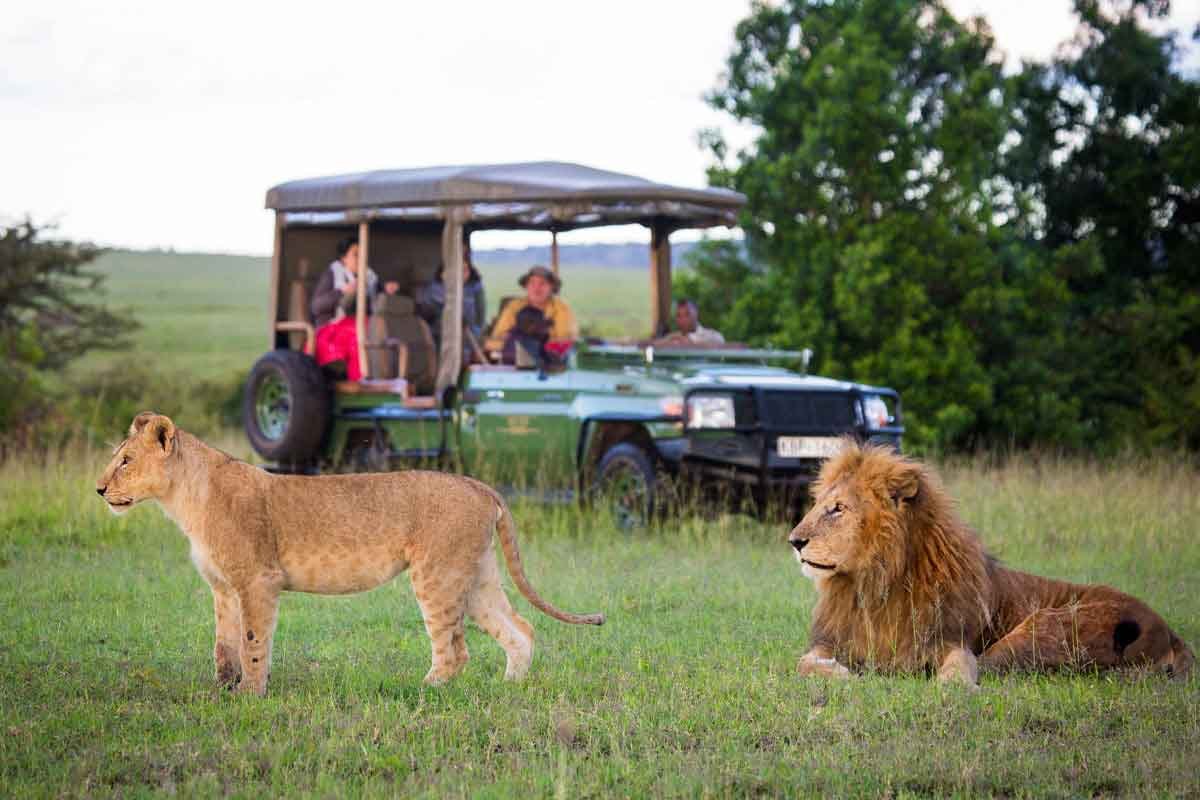 AuthenticsafaricampinginAmboseliandtheMasaiMara